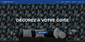 La boutique en ligne de Topcolor